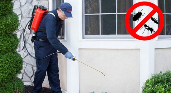 Çubuk Akrep İlaçlama böcek ilaçlama ve haşere kontrolü — ilaclama-tr.com